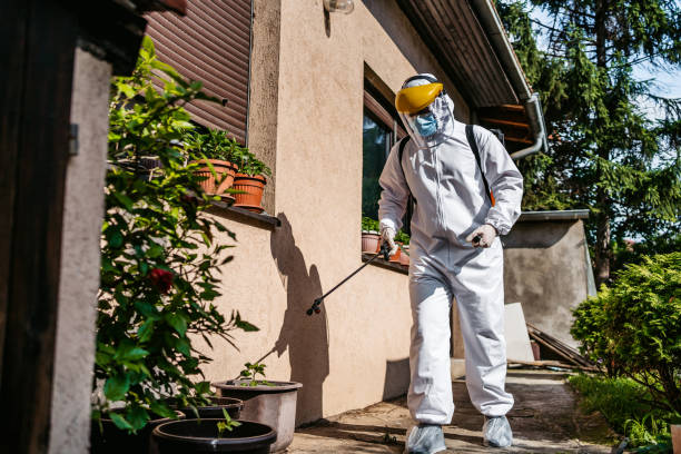 Best Flea Control Services  in Kempner, TX