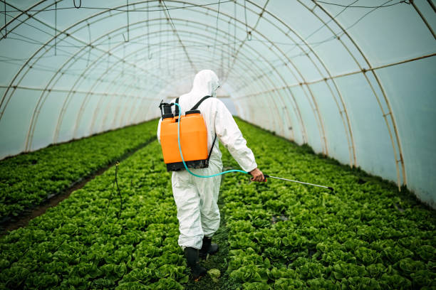 Professional Pest Control in Kempner, TX