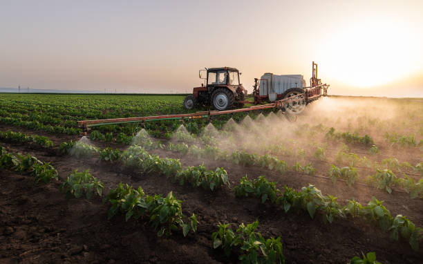 Insect Control in Kempner, TX