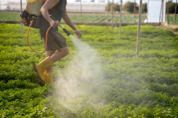 Best Pest Inspection Near Me  in Kempner, TX