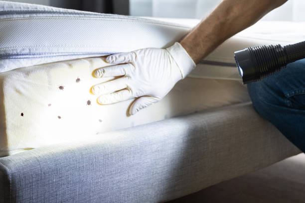 Wildlife Control Services in Kempner, TX
