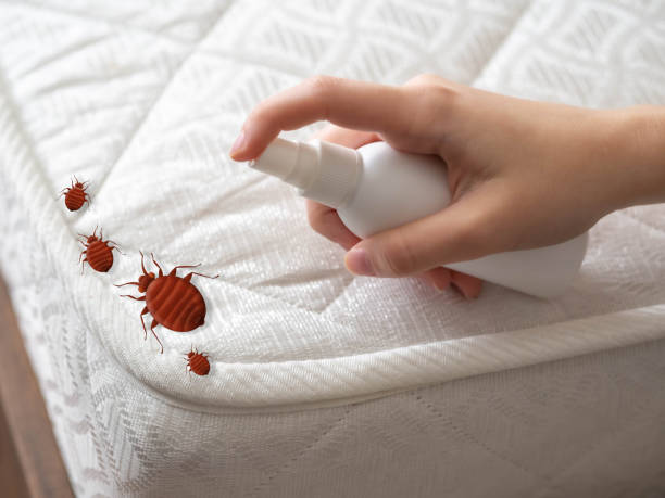 Best Exterminator Services  in Kempner, TX