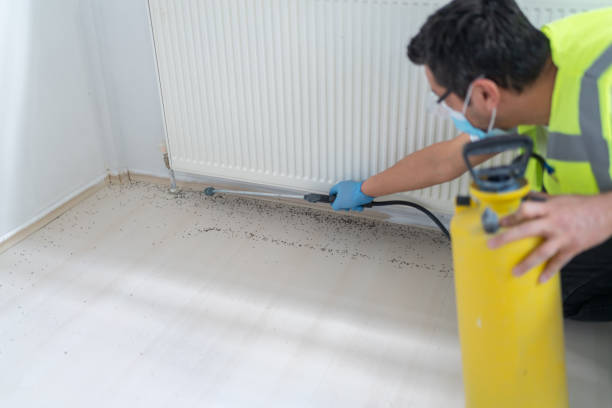 Professional Pest Control in Kempner, TX
