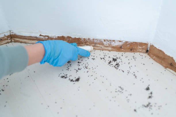 Best Best Pest Control Companies  in Kempner, TX