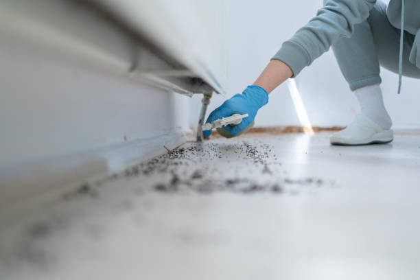 Best Pest Prevention Services  in Kempner, TX