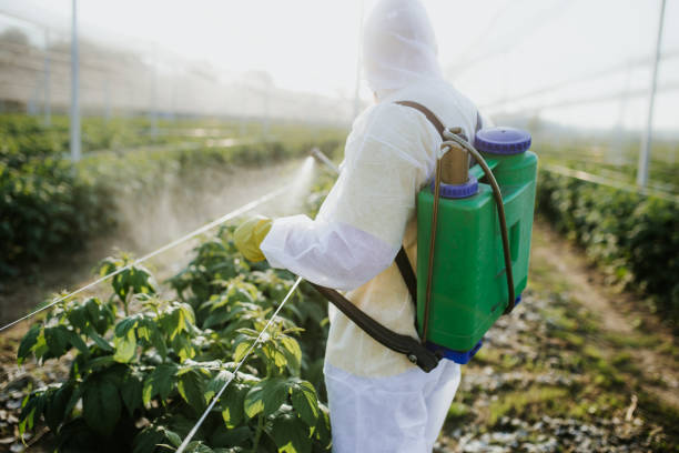 Best Bed Bug Extermination  in Kempner, TX